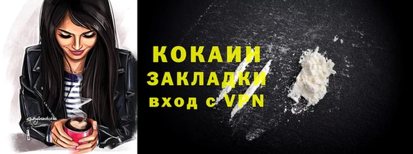 индика Беломорск
