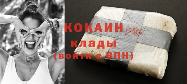 индика Беломорск