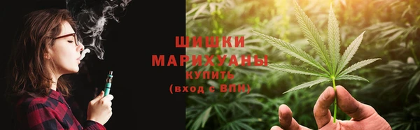 гашик Богданович