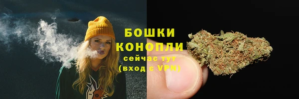 индика Беломорск