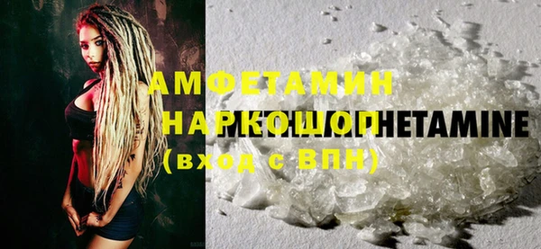 гидра Богородицк
