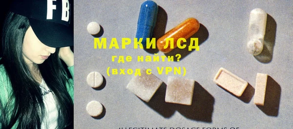 гашик Богданович