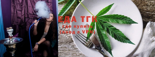 гидра Богородицк