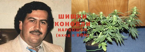 индика Беломорск