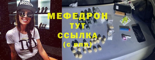 гидра Богородицк