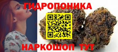 спиды Донской