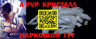 спиды Донской