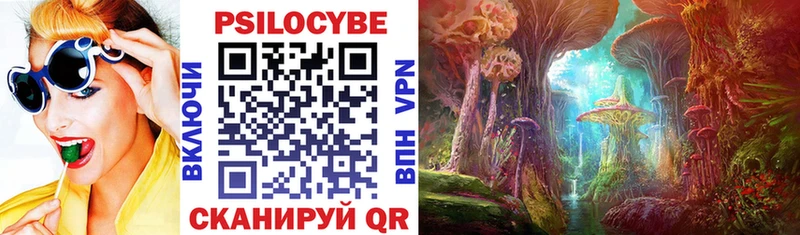 кракен зеркало  Надым  Псилоцибиновые грибы Magic Shrooms 
